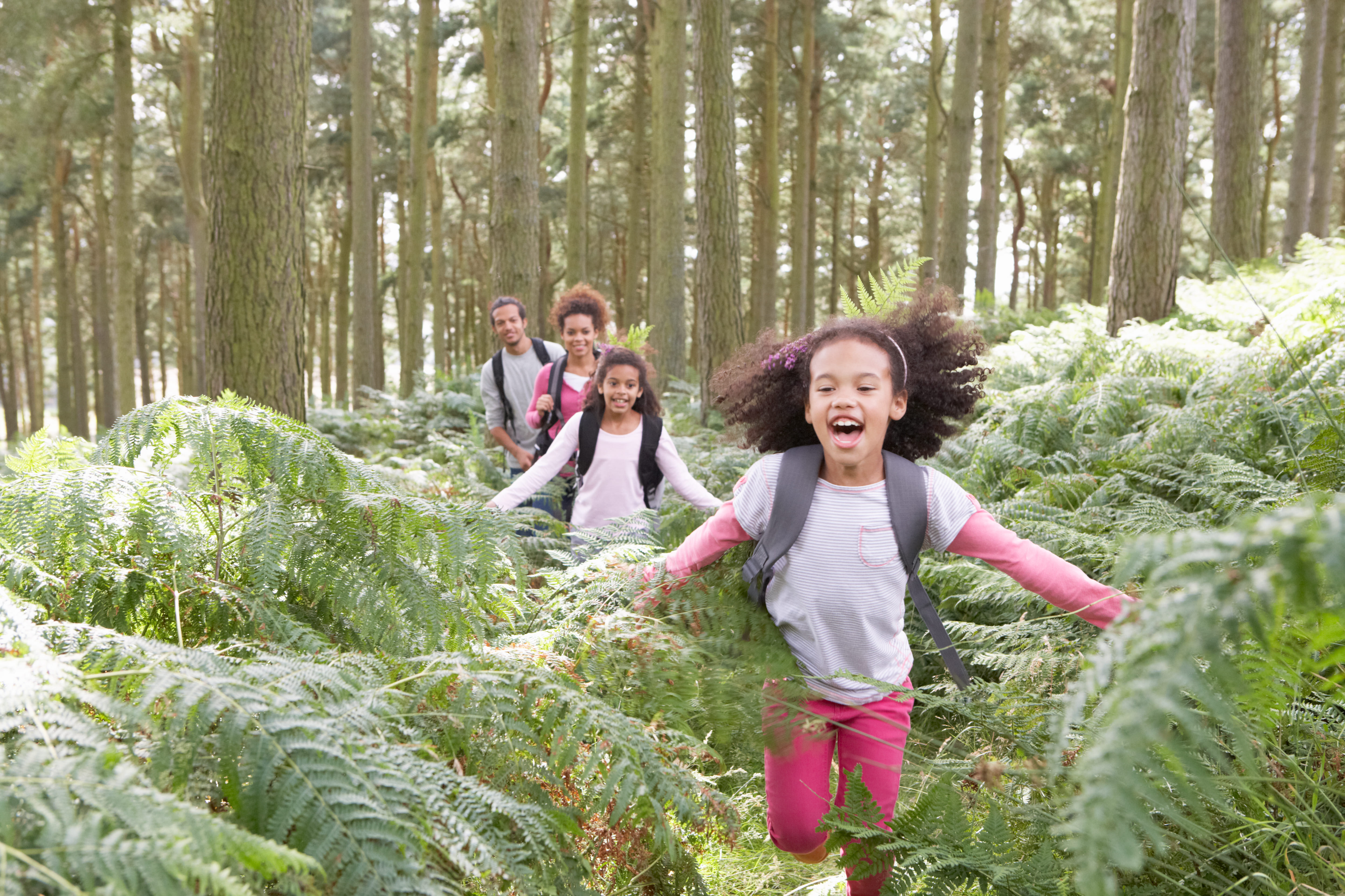 Family hiking in forest
