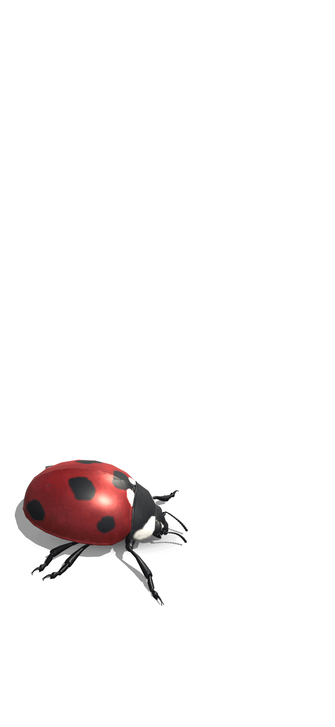 Mini Beast